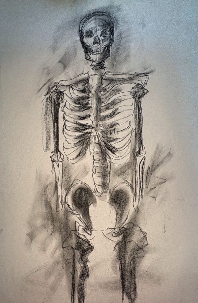 charcoal sketch, skeleton, elsa huet, drawing